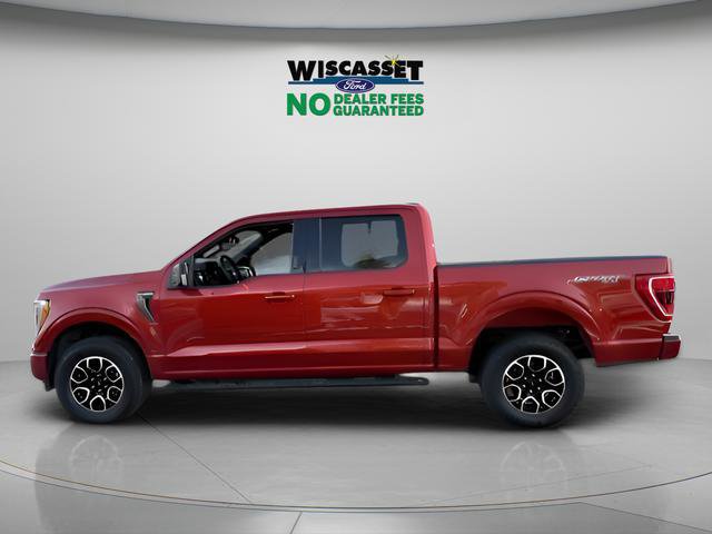 Certified 2023 Ford F150 XLT w/ Equipment Group 302A High image 2