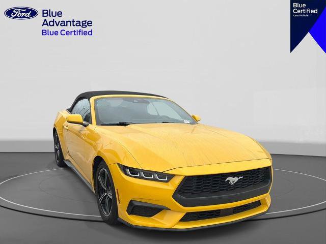Certified 2024 Ford Mustang Premium RWD image 6