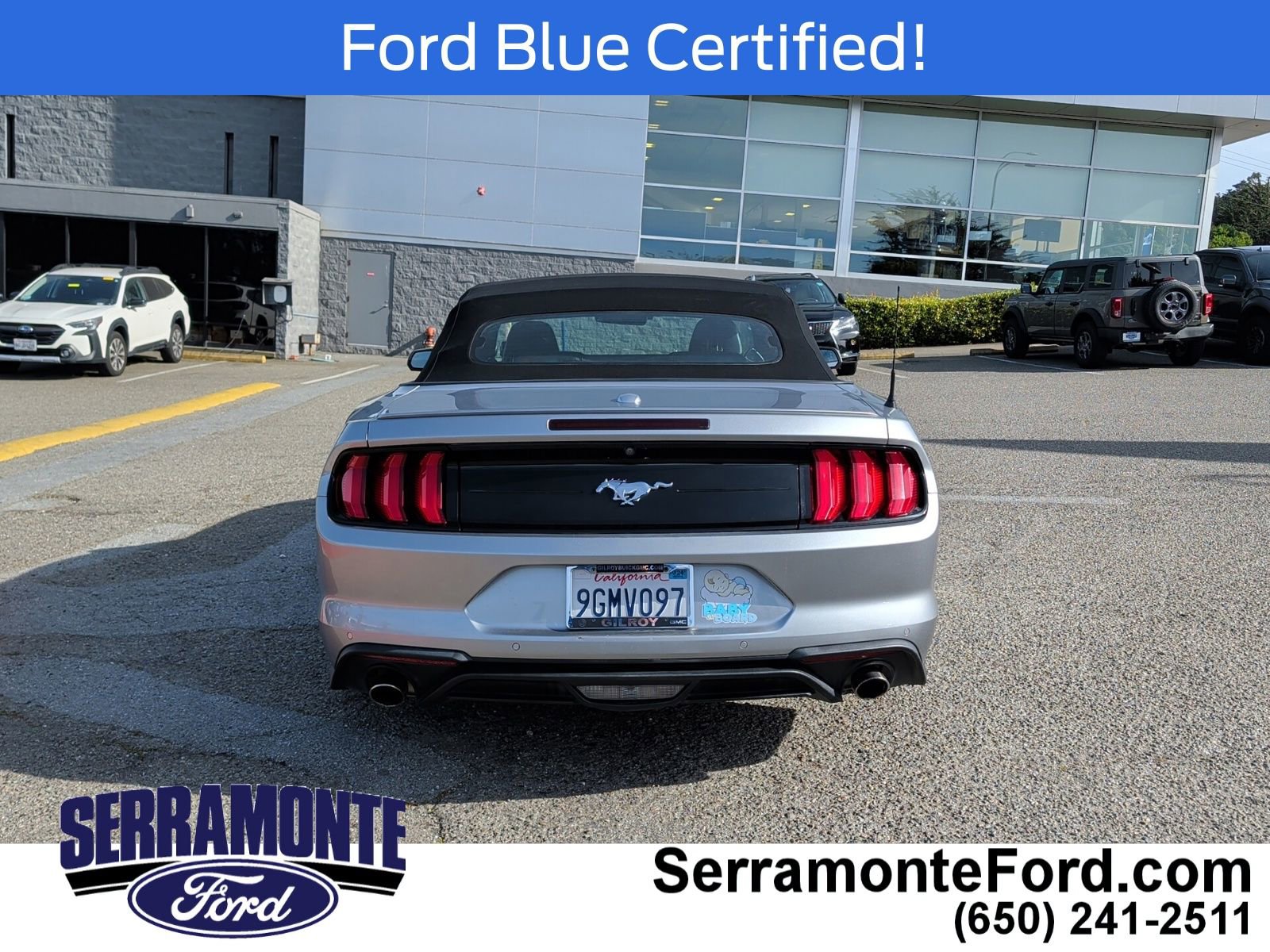 Certified 2021 Ford Mustang Premium image 6