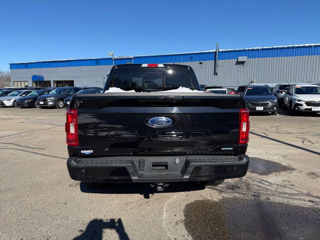 Certified 2023 Ford F150 XLT w/ Equipment Group 302A High image 5