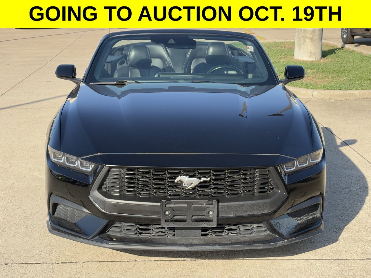 Certified 2024 Ford Mustang Premium RWD image 7