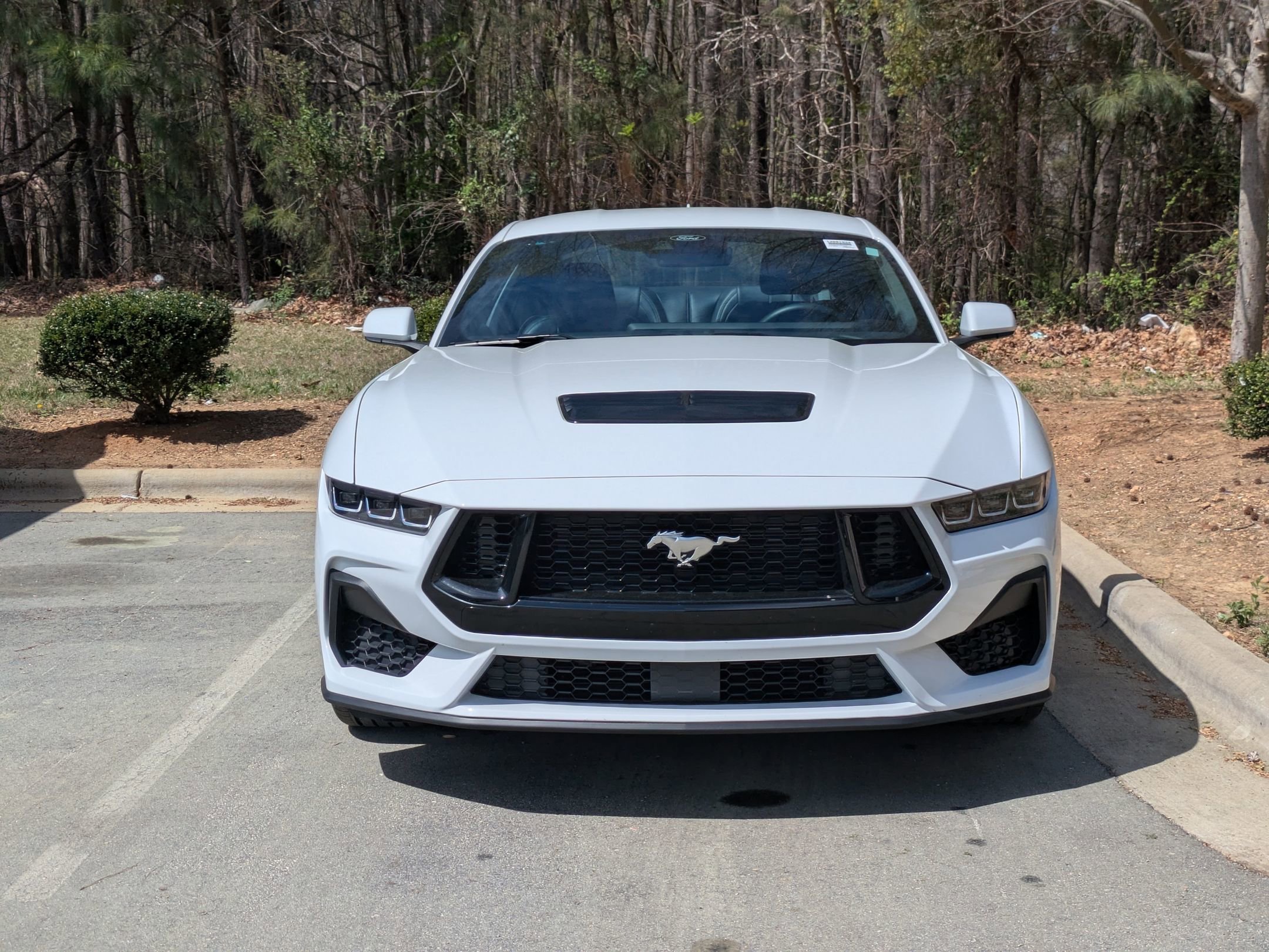 Certified 2025 Ford Mustang GT Premium RWD image 7