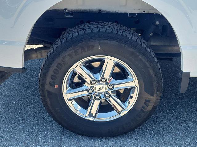 Certified 2025 Ford F150 XLT w/ Equipment Group 301A Standard AWD/4WD image 6