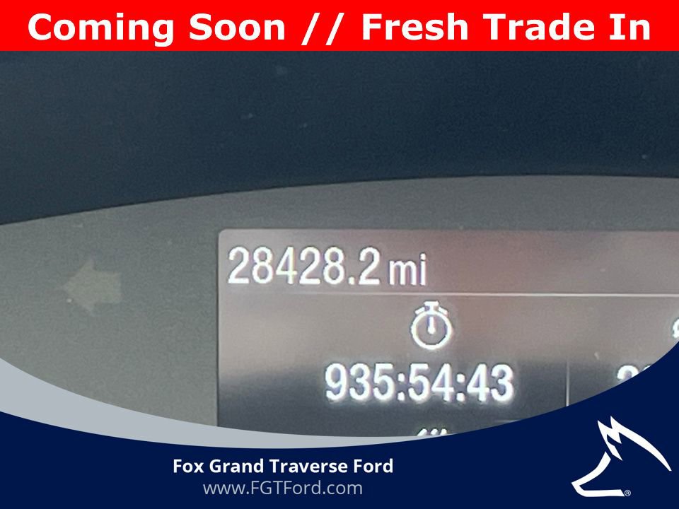 Certified 2022 Ford Escape SEL w/ SEL Stealth AWD Package image 7