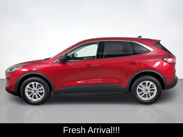Certified 2022 Ford Escape SE w/ Convenience Package AWD/4WD image 6