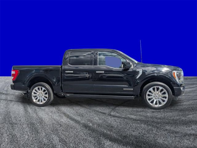 Certified 2023 Ford F150 Limited image 2