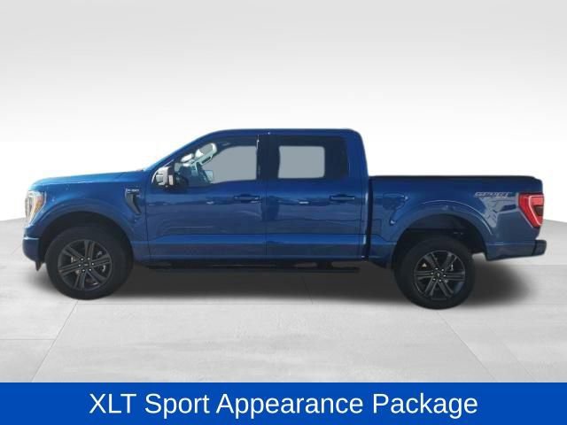 Certified 2023 Ford F150 XLT w/ Equipment Group 302A High image 2