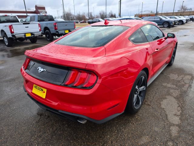 Certified 2022 Ford Mustang Coupe w/ Equipment Group 101A image 4