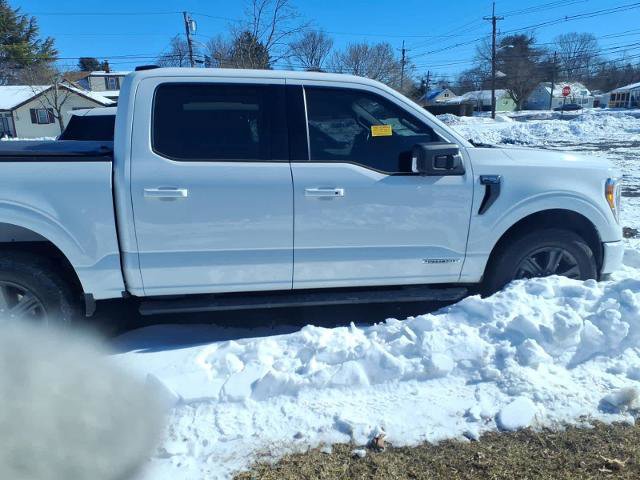 Certified 2023 Ford F150 XLT w/ Equipment Group 302A High image 2