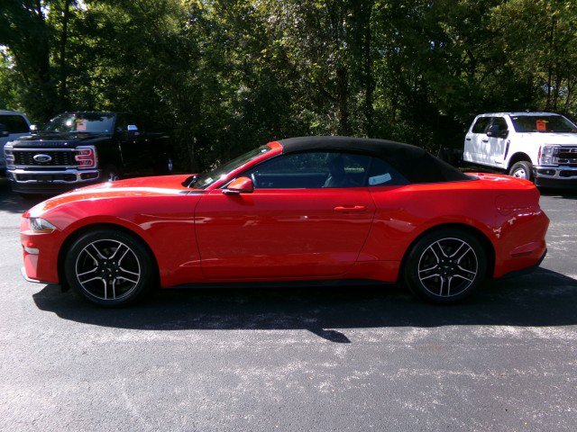 Certified 2020 Ford Mustang Premium RWD image 7