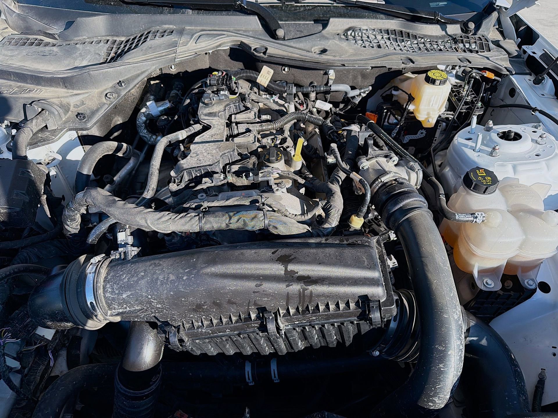 Certified 2024 Ford Mustang Coupe image 29