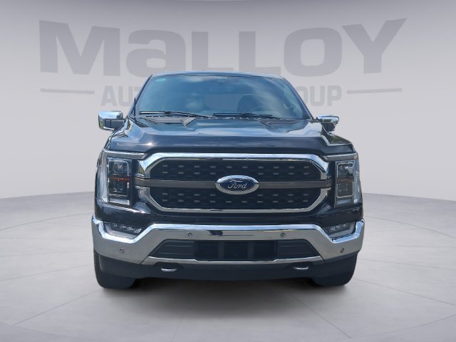 Certified 2023 Ford F150 King Ranch w/ Equipment Group 601A High AWD/4WD image 8