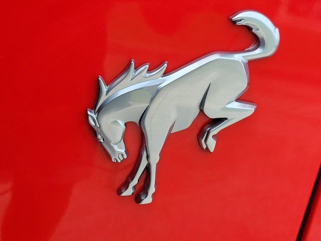 Certified 2023 Ford Bronco Black Diamond image 11