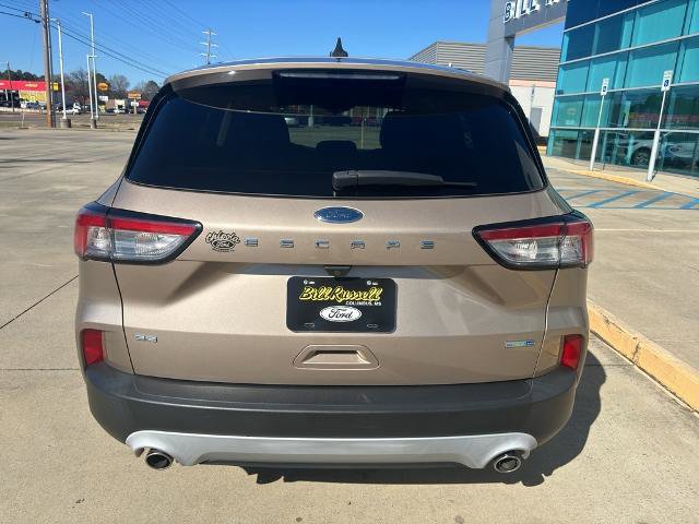 Certified 2020 Ford Escape SE image 4