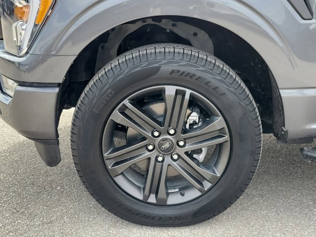 Certified 2021 Ford F150 XLT w/ Equipment Group 302A High image 8