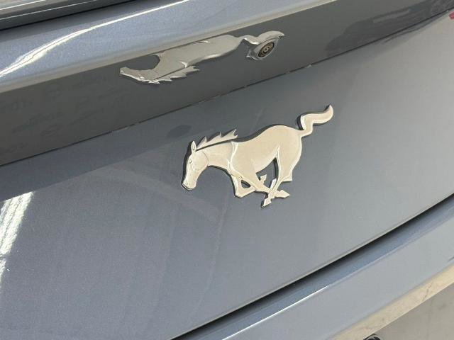 Certified 2024 Ford Mustang Premium image 10