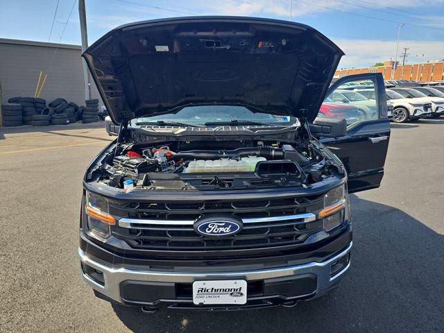 Certified 2024 Ford F150 XLT w/ Mobile Office Package AWD/4WD image 25