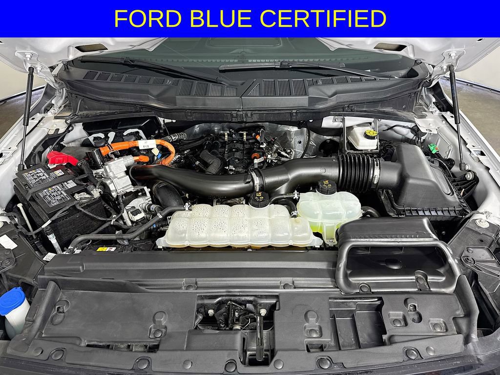 Certified 2025 Ford F150 XLT w/ Equipment Group 301A Standard image 31