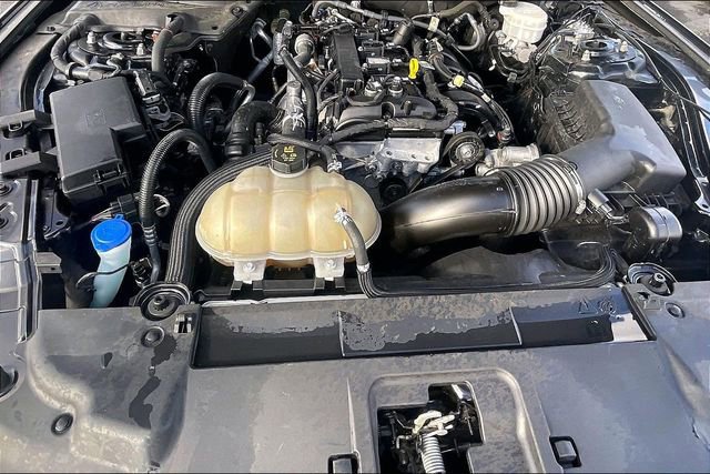 Certified 2023 Ford Mustang EcoBoost w/ Mustang Nite Pony Package image 12