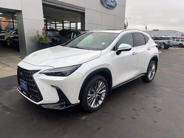 Used 2022 Lexus NX 350h AWD