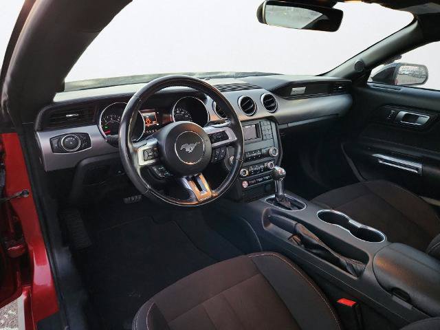 Certified 2023 Ford Mustang GT w/ Mustang Nite Pony Package RWD image 9