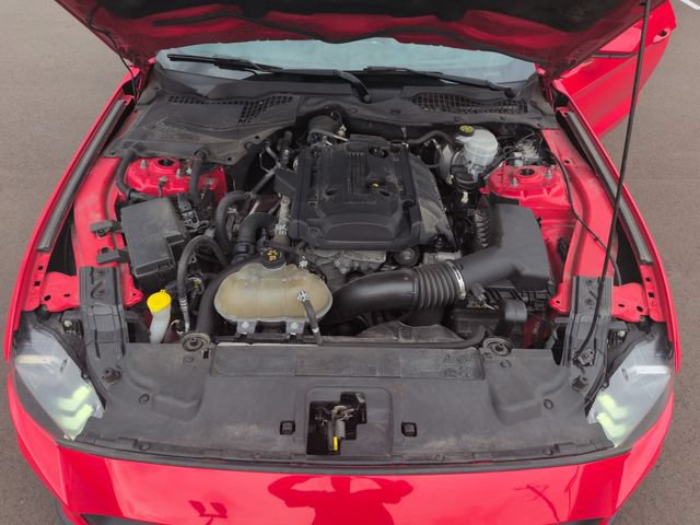 Certified 2019 Ford Mustang Coupe w/ Equipment Group 101A RWD image 41