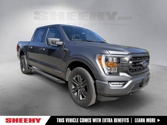 Certified 2023 Ford F150 XLT w/ Equipment Group 302A High AWD/4WD image 1