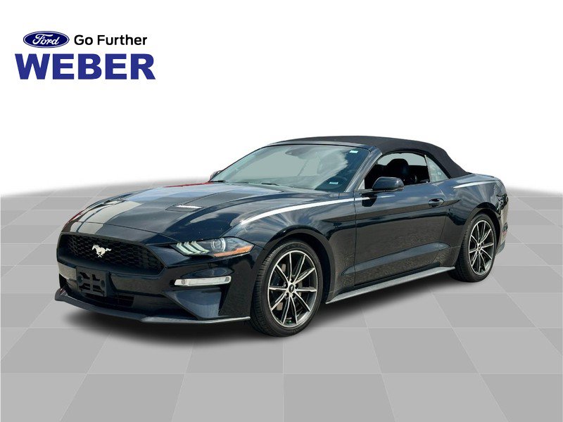 Certified 2019 Ford Mustang Premium w/ Equipment Group 201A RWD image 1