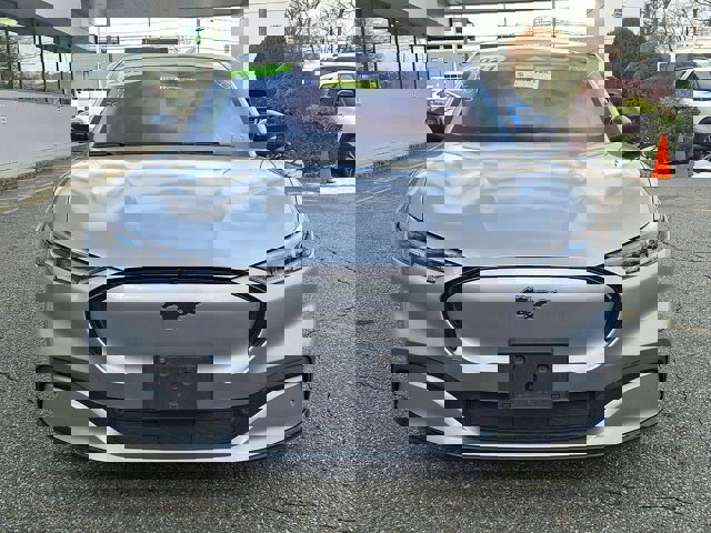 Certified 2021 Ford Mustang Mach-E Premium image 14
