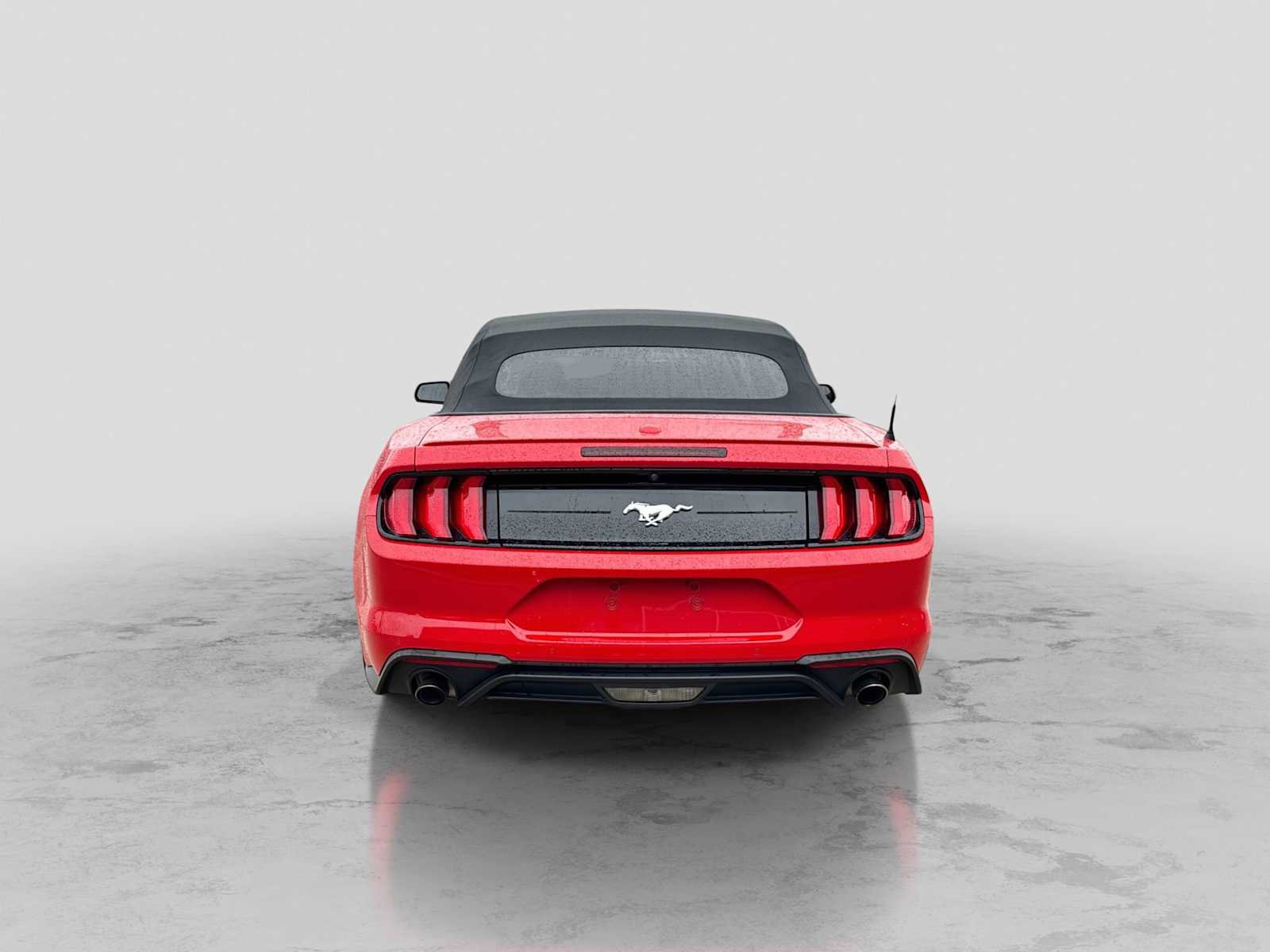 Certified 2019 Ford Mustang Premium w/ Equipment Group 201A RWD image 5
