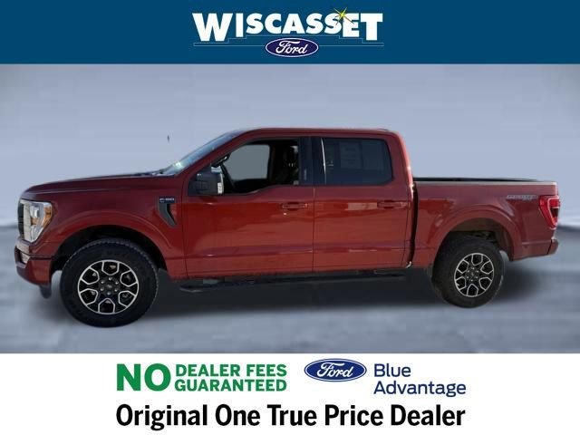 Certified 2023 Ford F150 XLT w/ Equipment Group 302A High image 2