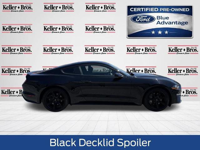 Certified 2019 Ford Mustang GT w/ Black Accent Package RWD image 6