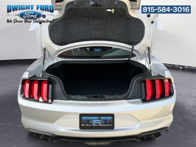 Certified 2019 Ford Mustang GT Premium w/ Equipment Group 401A RWD image 18