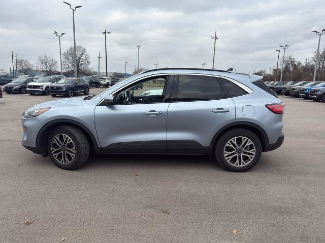 Certified 2022 Ford Escape SEL image 2