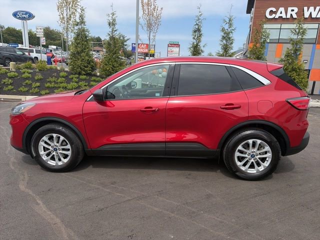 Certified 2022 Ford Escape SE w/ Convenience Package AWD/4WD image 3