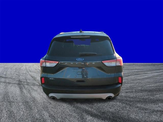 Certified 2022 Ford Escape SEL image 5