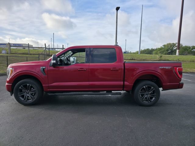 Certified 2022 Ford F150 XLT w/ Equipment Group 302A High image 8