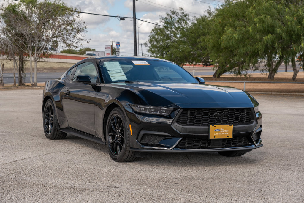 Certified 2025 Ford Mustang Coupe w/ Mustang Nite Pony Package RWD image 2