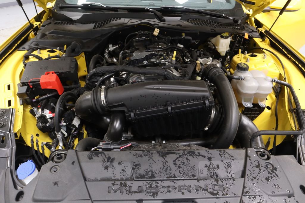 Certified 2024 Ford Mustang Coupe RWD image 14