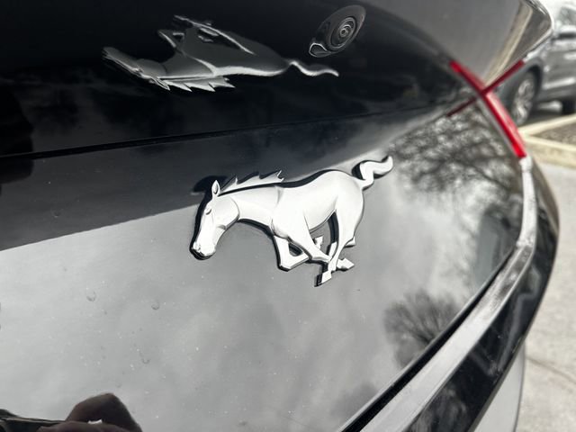 Certified 2025 Ford Mustang Premium image 41