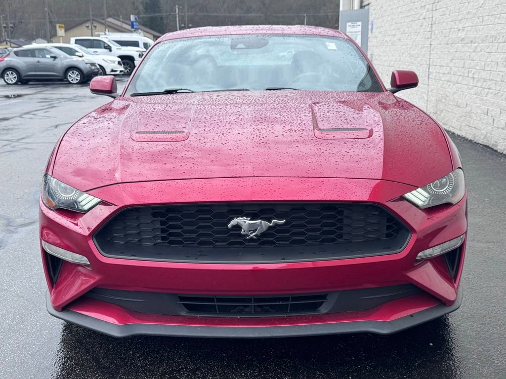 Certified 2021 Ford Mustang Coupe w/ Equipment Group 101A RWD image 3