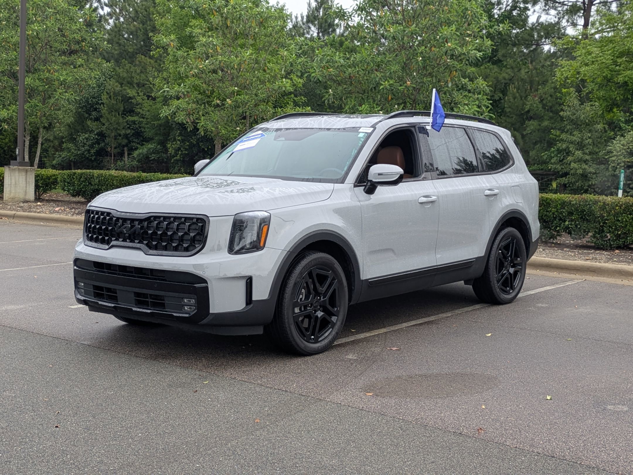 Used 2025 Kia Telluride SX Prestige X-Line AWD/4WD image 8