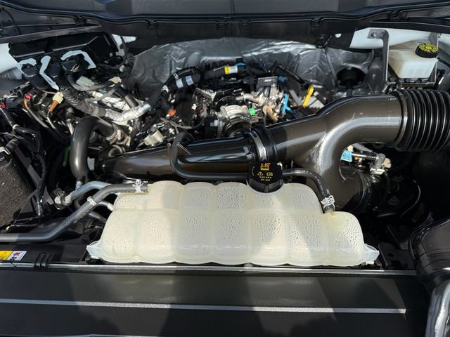 Certified 2023 Ford F150 XL w/ STX Appearance Package AWD/4WD image 36