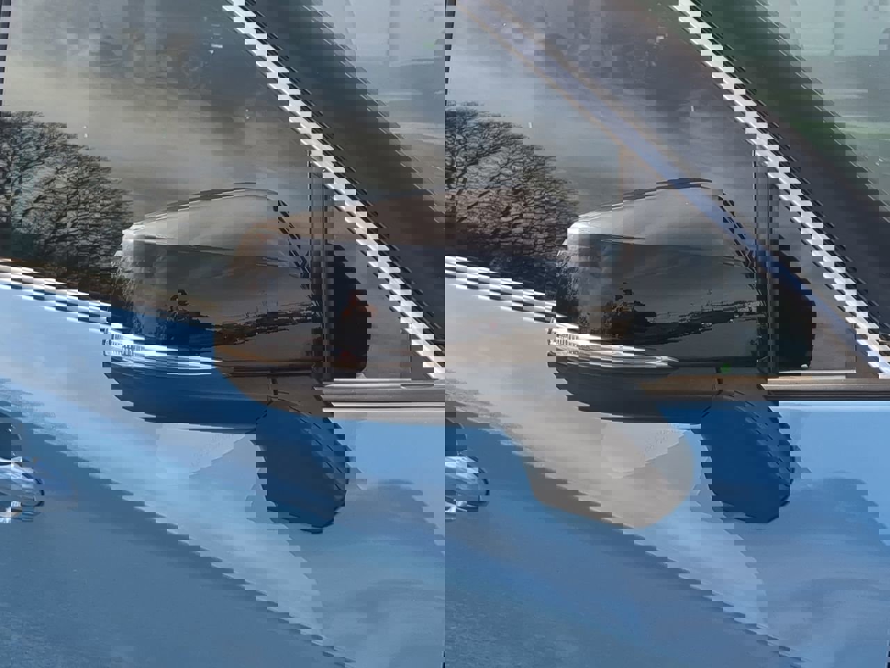 Used 2024 Toyota RAV4 XSE w/ Weather Package image 10