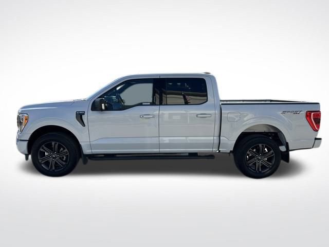 Certified 2022 Ford F150 XLT w/ Equipment Group 302A High image 8