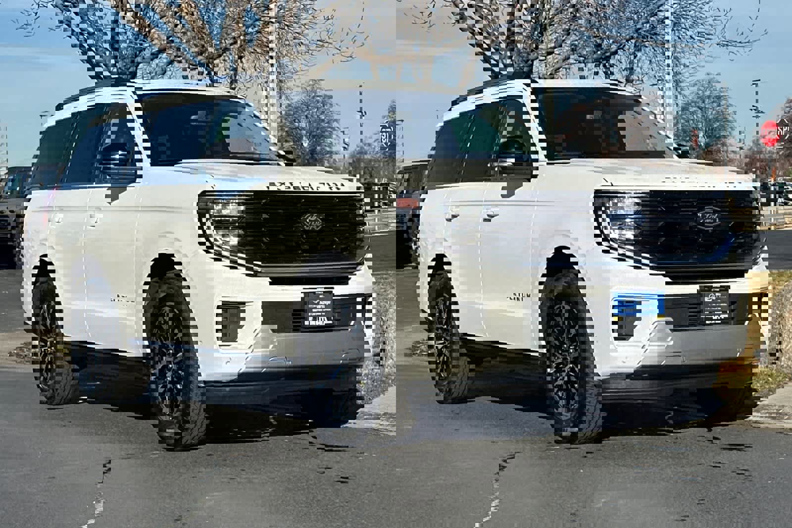 Certified 2025 Ford Expedition Platinum image 9