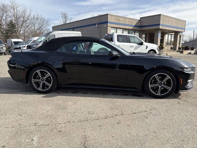 Certified 2024 Ford Mustang Premium image 4