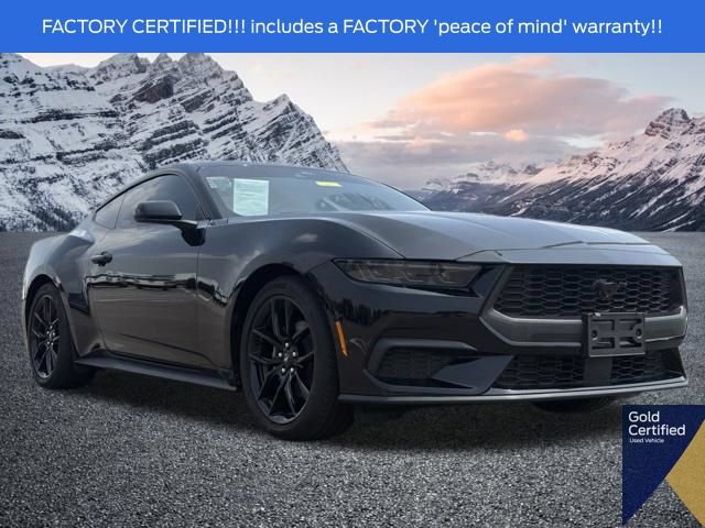 Certified 2024 Ford Mustang Coupe w/ Mustang Nite Pony Package RWD image 1