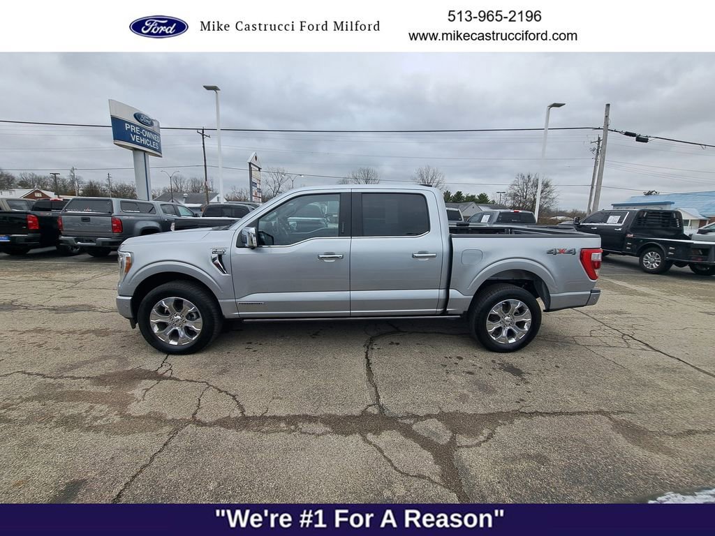 Certified 2023 Ford F150 Platinum w/ Equipment Group 701A High image 6