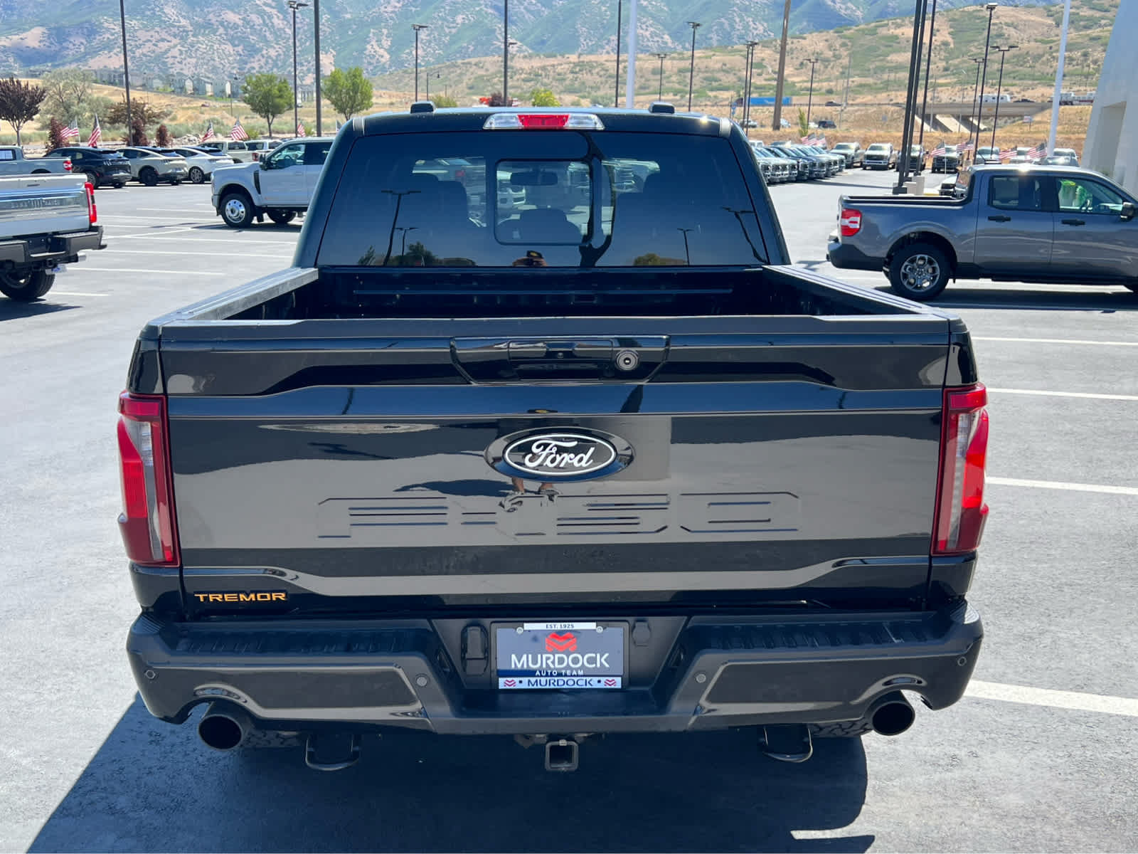 Certified 2025 Ford F150 Tremor AWD/4WD image 9